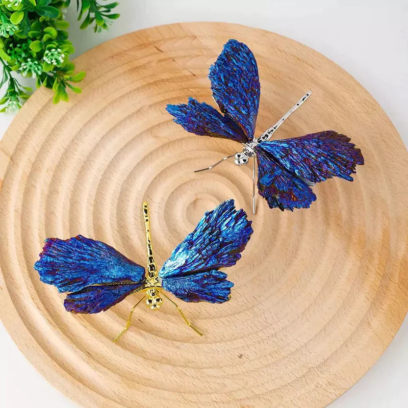 Libellule Aura Tourmaline Kyanite