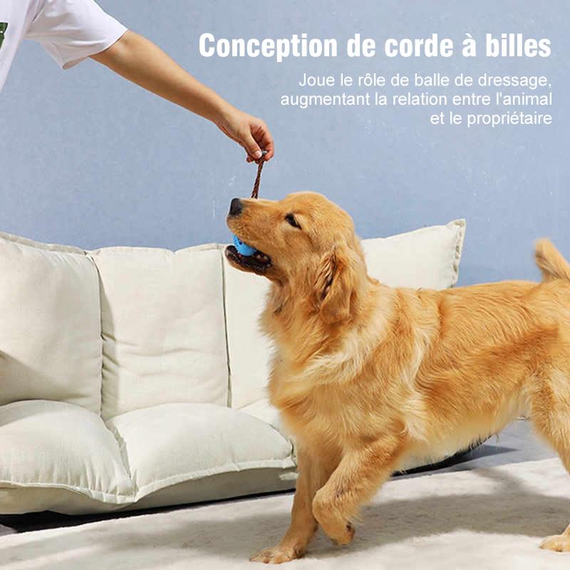 Jouet de Brosse à Dents pour Chien