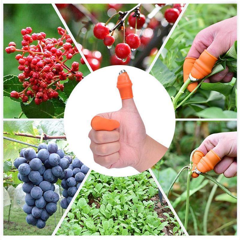 Couteau à Pouce pour Cueillir Légumes et Fruits