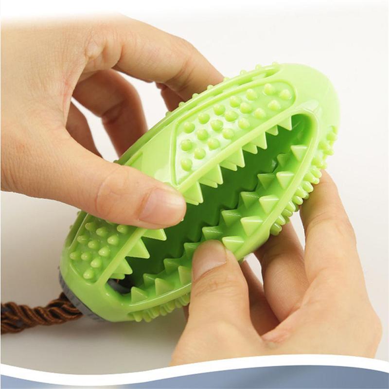 Jouet de Brosse à Dents pour Chien