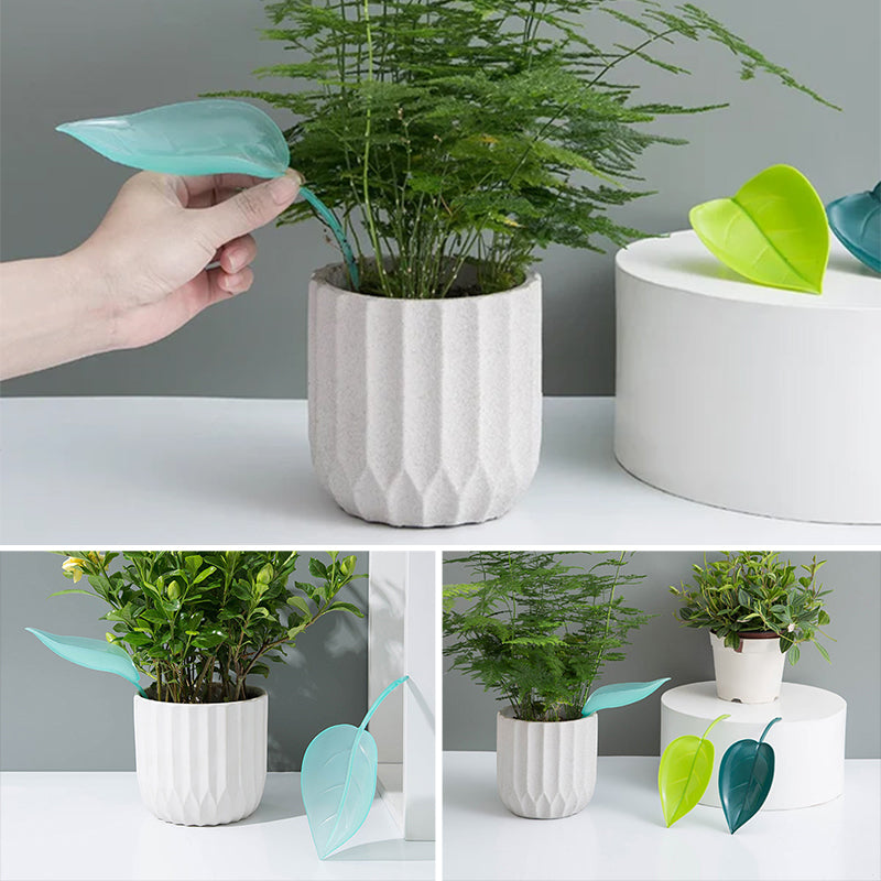 🌸🥬Feuilles d'arrosage drôles (6pcs)🥬🌸