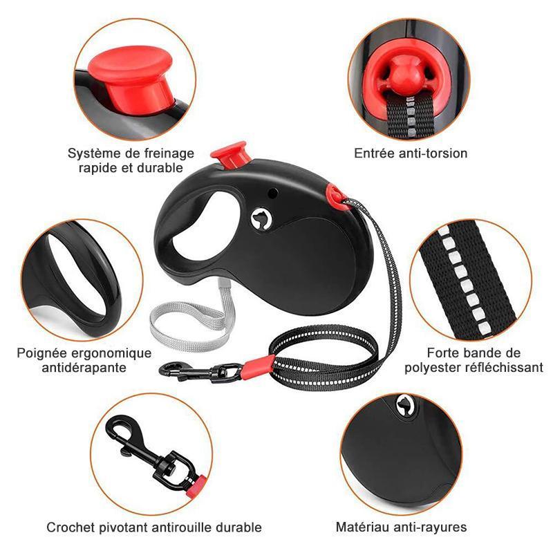 Laisse Rétractable Flexible de Chien