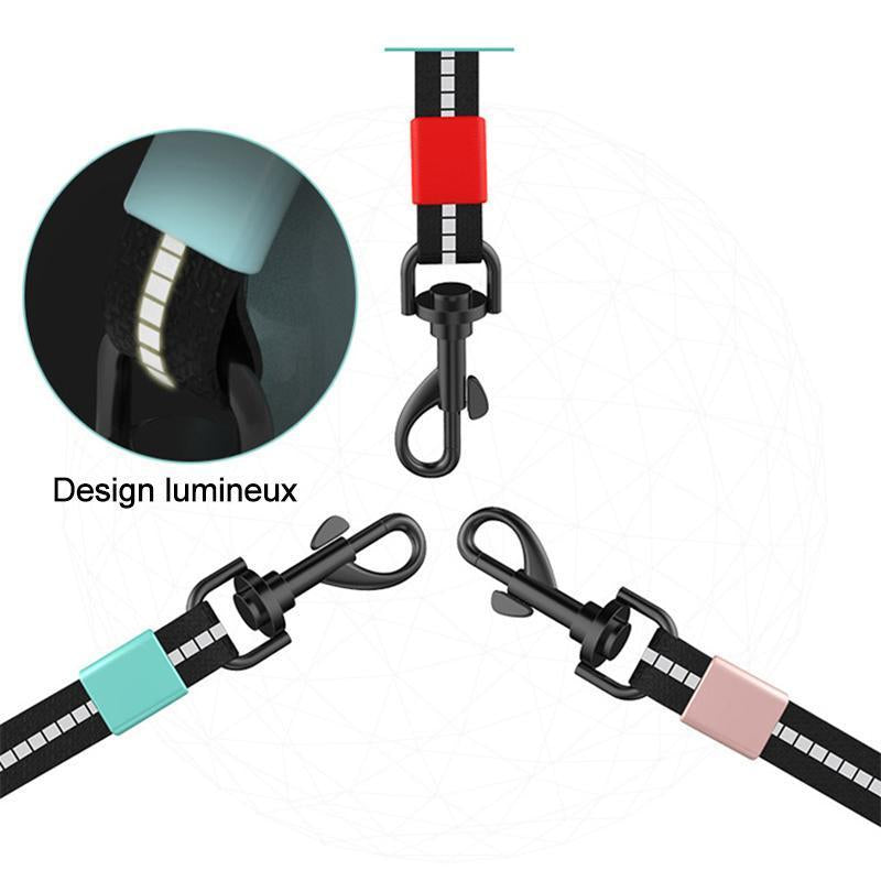Laisse Rétractable Flexible de Chien