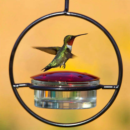 Mangeoire à colibri simple en métal