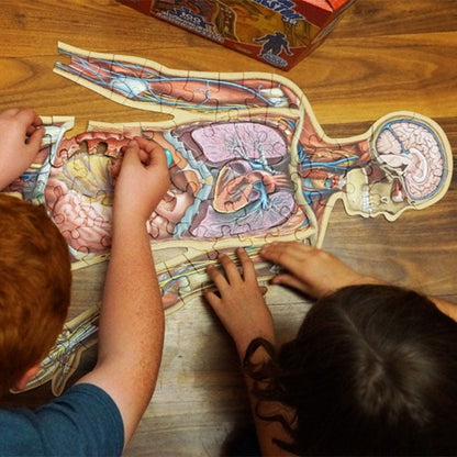 Puzzle d'Anatomie Humaine pour Enfants