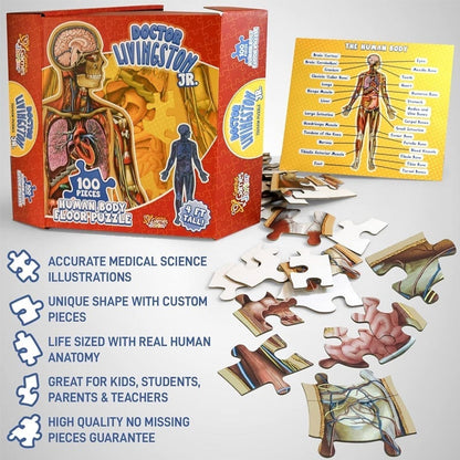 Puzzle d'Anatomie Humaine pour Enfants
