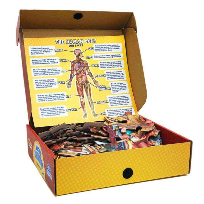 Puzzle d'Anatomie Humaine pour Enfants