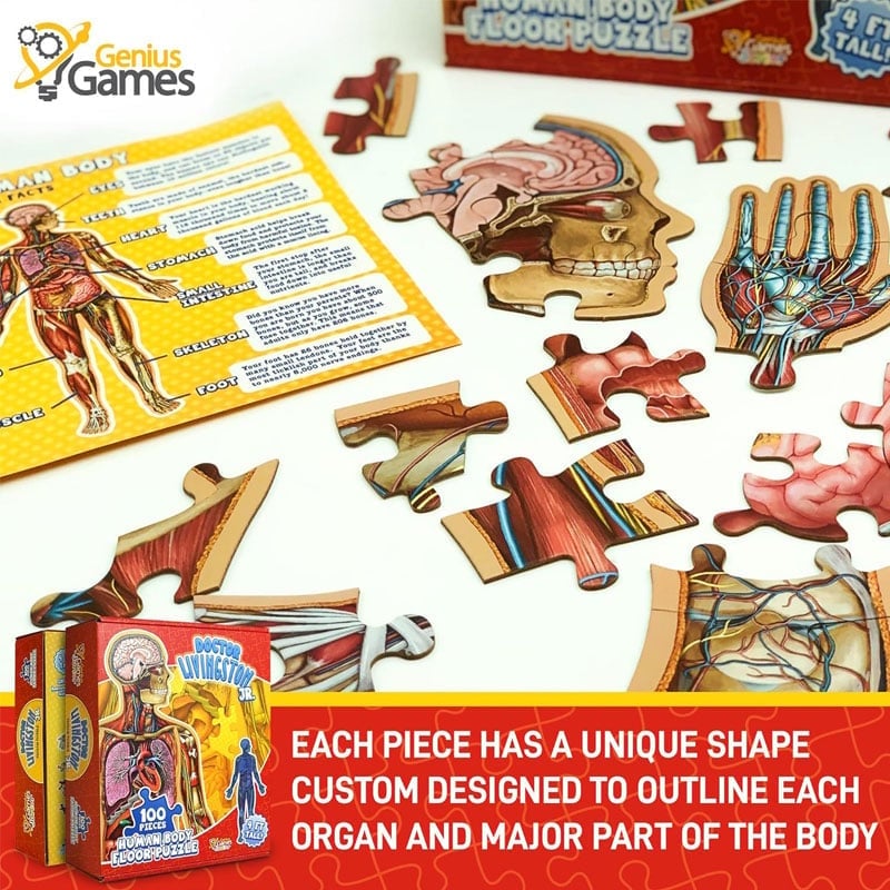 Puzzle d'Anatomie Humaine pour Enfants