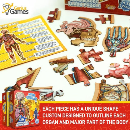 Puzzle d'Anatomie Humaine pour Enfants