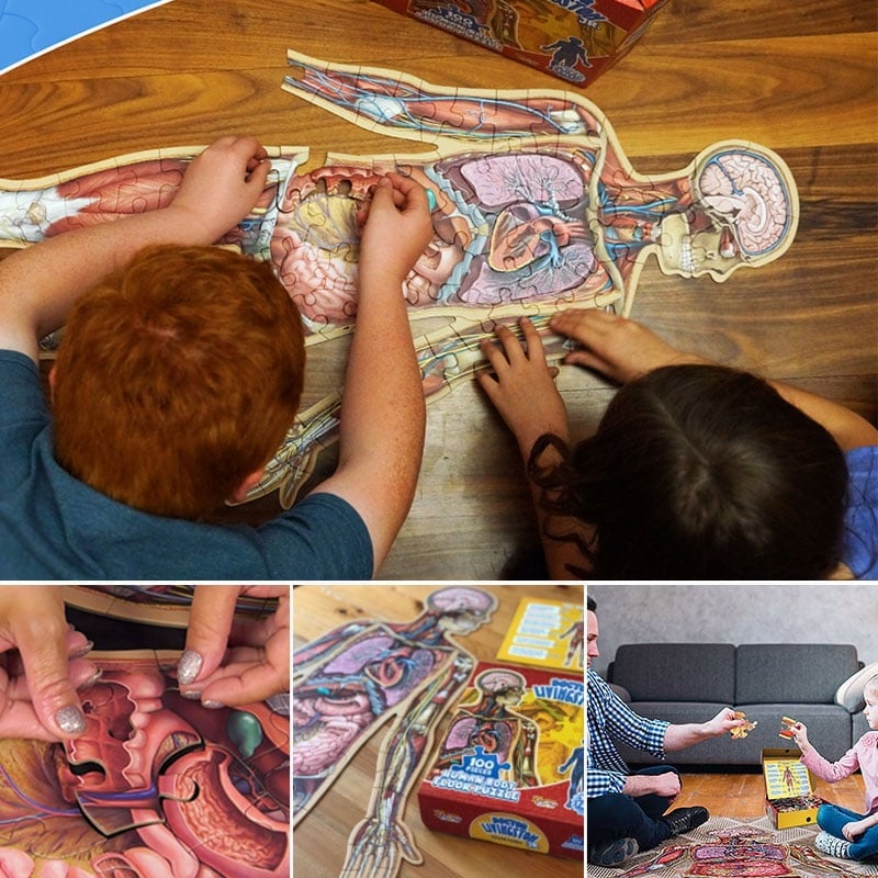 Puzzle d'Anatomie Humaine pour Enfants