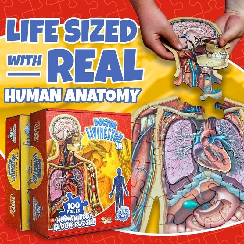 Puzzle d'Anatomie Humaine pour Enfants