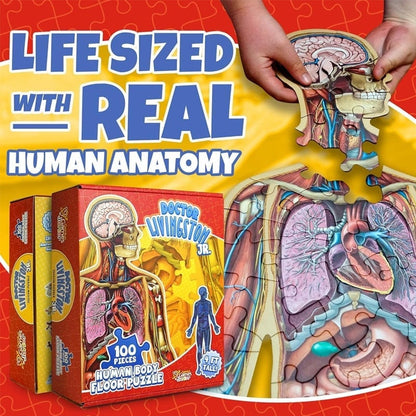 Puzzle d'Anatomie Humaine pour Enfants