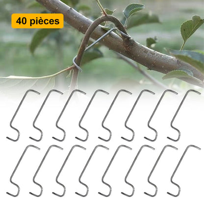 🍓Écarteur de Branches d'Arbres Fruitiers(40pcs)
