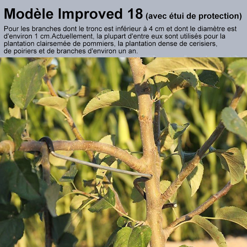 🍓Écarteur de Branches d'Arbres Fruitiers(40pcs)