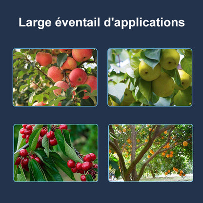 🍓Écarteur de Branches d'Arbres Fruitiers(40pcs)