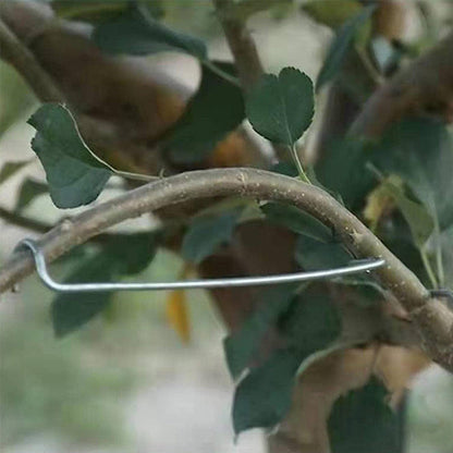 🍓Écarteur de Branches d'Arbres Fruitiers(40pcs)