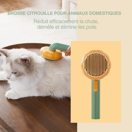 💖 Brosse à Peigner Citrouille pour Animaux de Compagnie