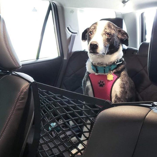 🚗Sac Filet de Rangement pour Voiture Organisateur pour Siège d'Auto