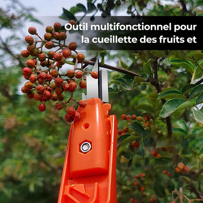 Outils efficaces de collecte de poivre