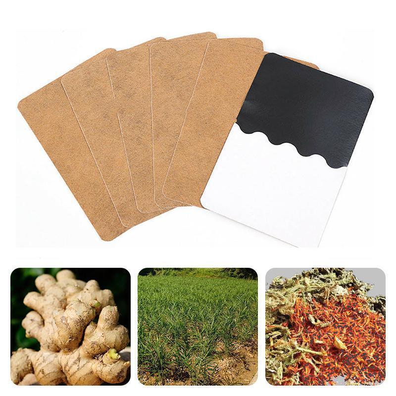 Patch De Fines Herbes Au Gingembre