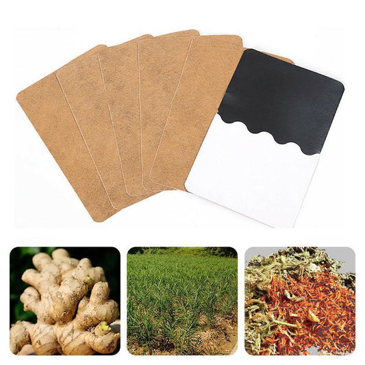 Patch De Fines Herbes Au Gingembre