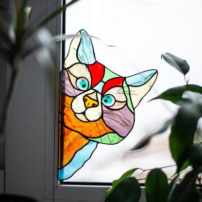 😻Décor de Chat Drôle pour Fenêtres