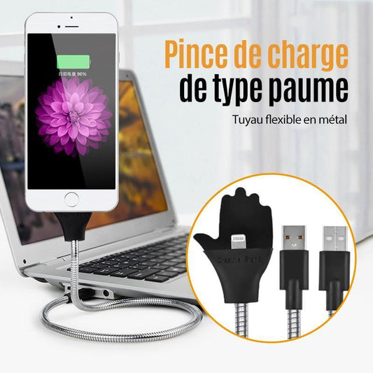Câble de données de Chargement de Paume variée pour Apple, Android, Type-c