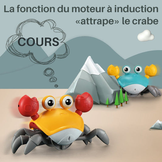 🦀🦀Jouet de Crabe qui est en Fuite