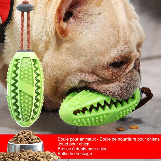 Jouet de Brosse à Dents pour Chien