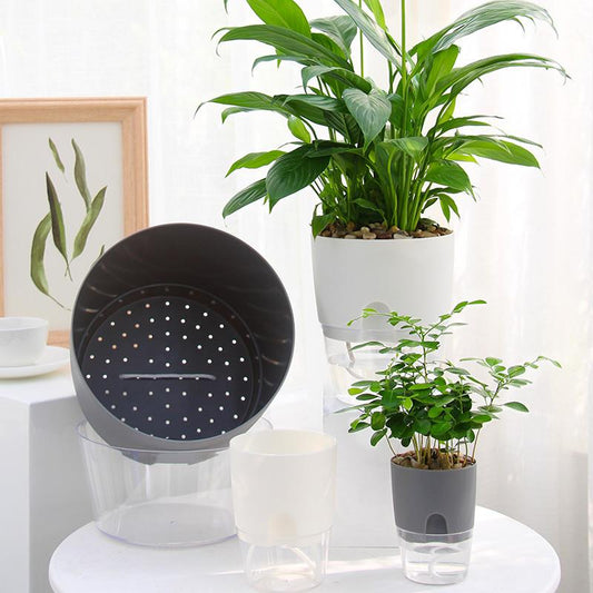 Pot écologique auto-arrosant