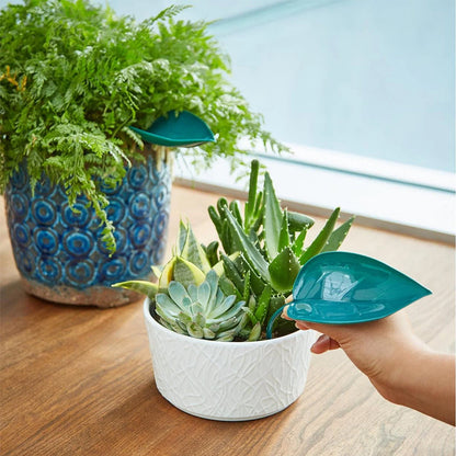 🌸🥬Feuilles d'arrosage drôles (6pcs)🥬🌸