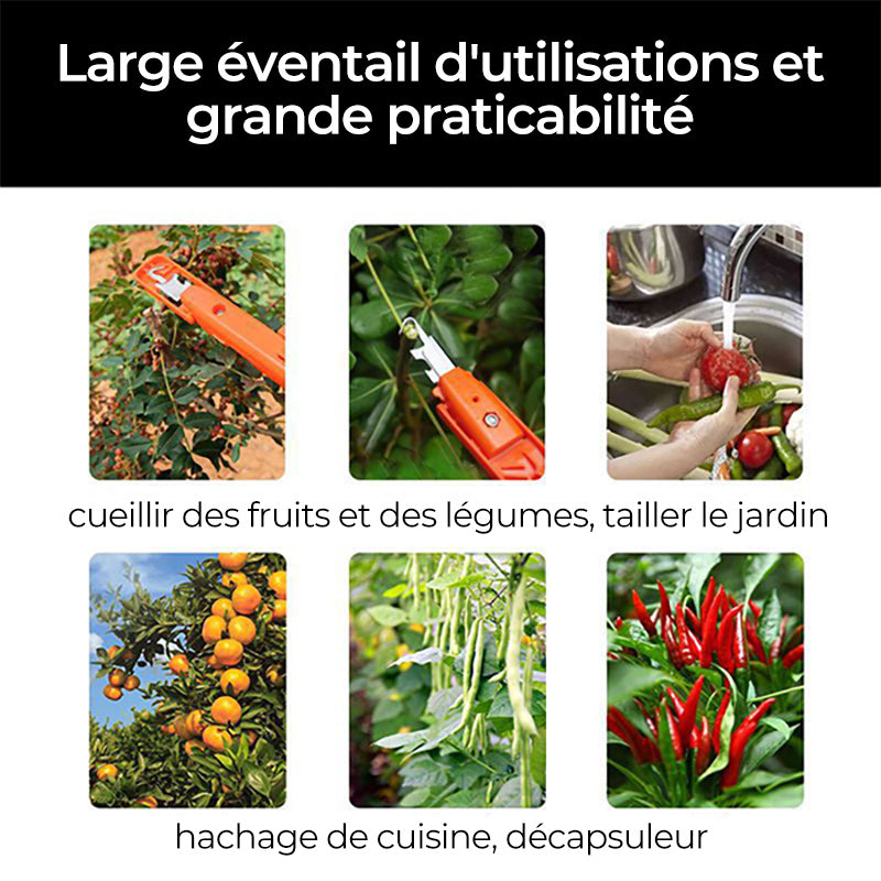 Outils efficaces de collecte de poivre