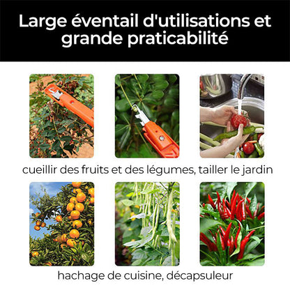 Outils efficaces de collecte de poivre