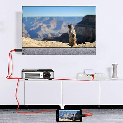 Lightning vers HDMI Cable Adaptateur