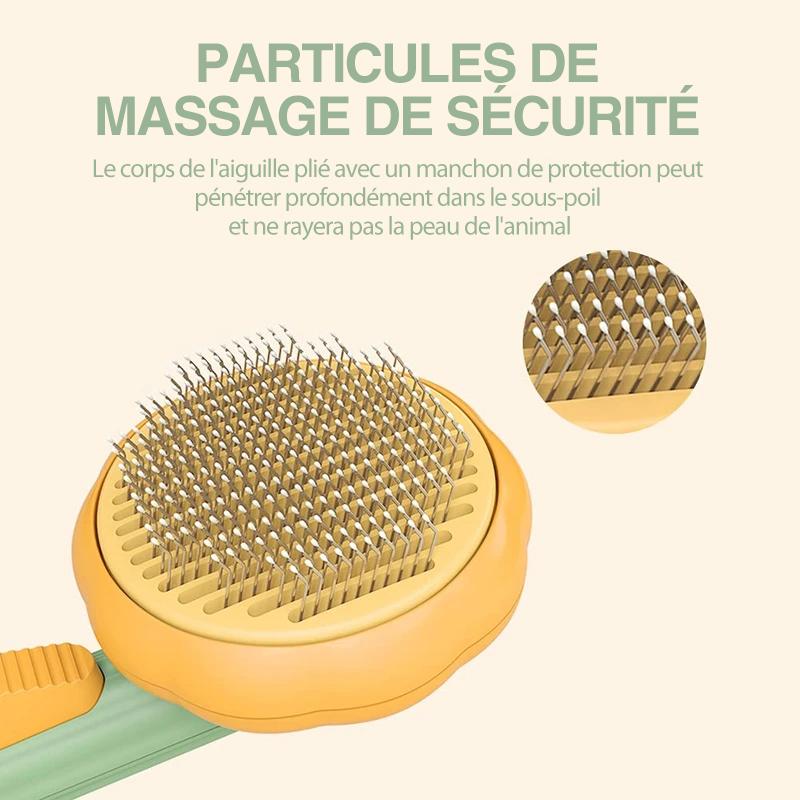 💖 Brosse à Peigner Citrouille pour Animaux de Compagnie