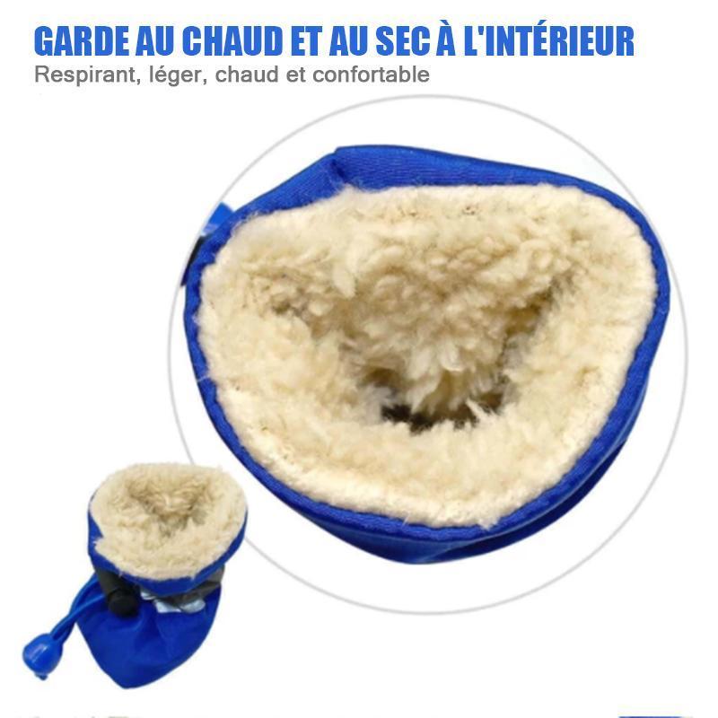 Bottes Antidérapants pour Chiens