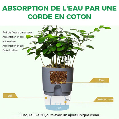 Pot écologique auto-arrosant