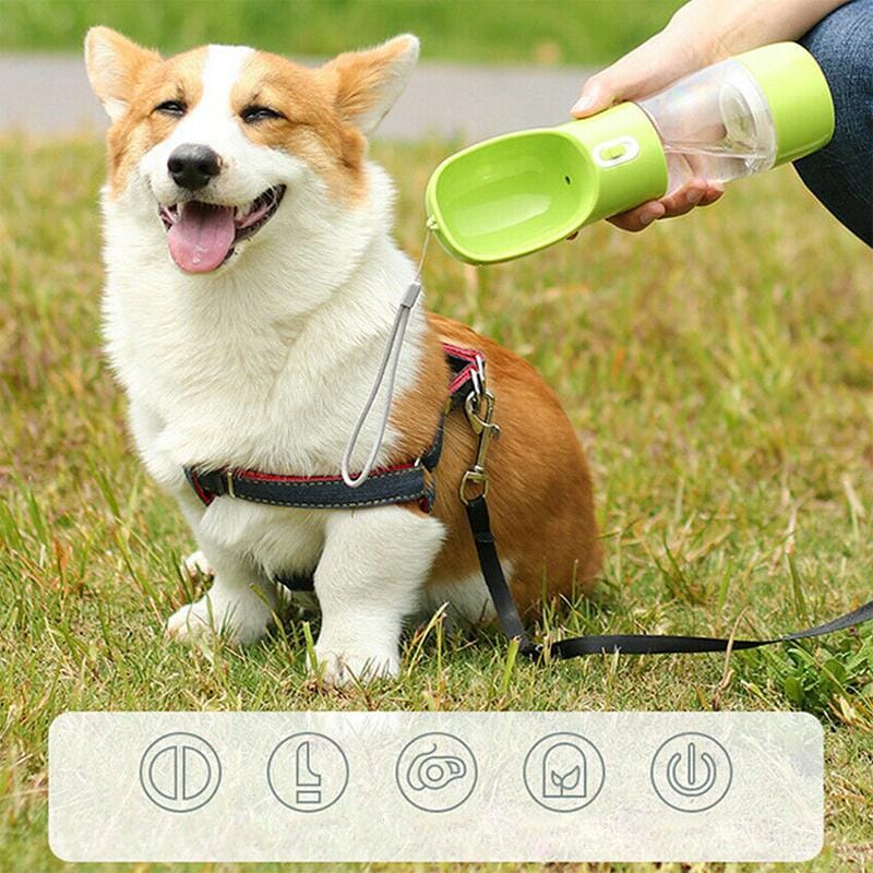Bouteille d’eau et de nourriture portable pour animaux de compagnie