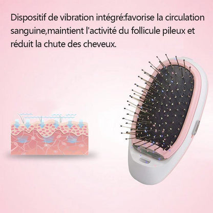 Peigne Antistatique de Coussin d'Air