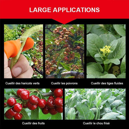 Couteau à Pouce pour Cueillir Légumes et Fruits