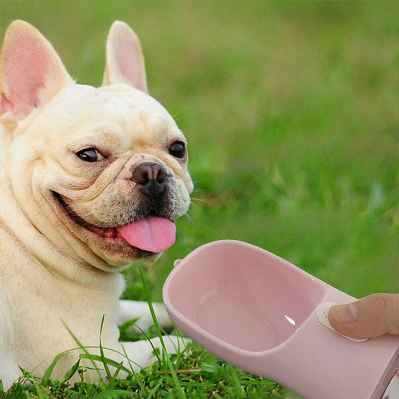 Bouteille d’eau et de nourriture portable pour animaux de compagnie