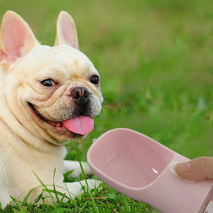 Bouteille d’eau et de nourriture portable pour animaux de compagnie
