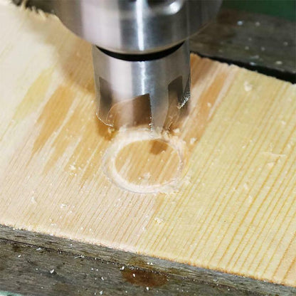 Plug Insert (8 Pieces)