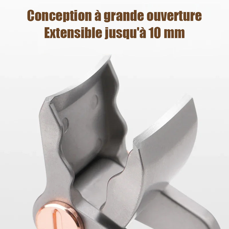 Coupe-ongles de Crocodile