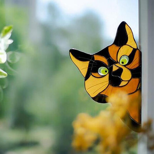 😻Décor de Chat Drôle pour Fenêtres
