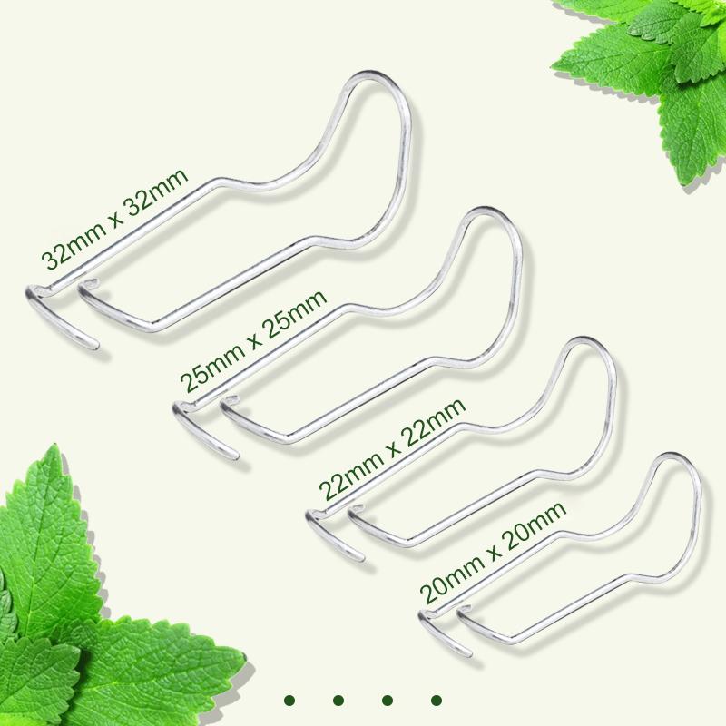 Boucles de connexion des plantes