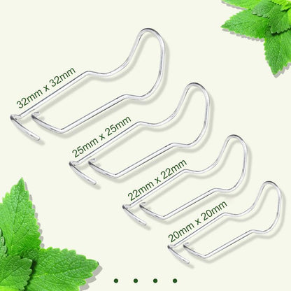 Boucles de connexion des plantes
