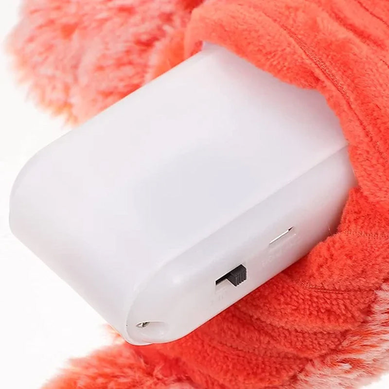 Jouet interactif pour chat et chien