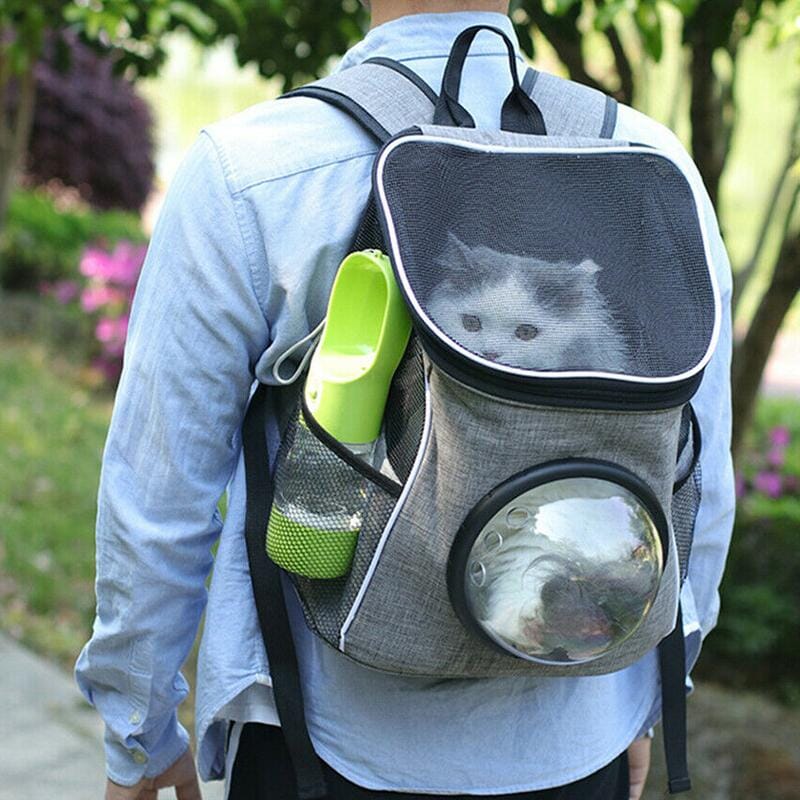 Bouteille d’eau et de nourriture portable pour animaux de compagnie