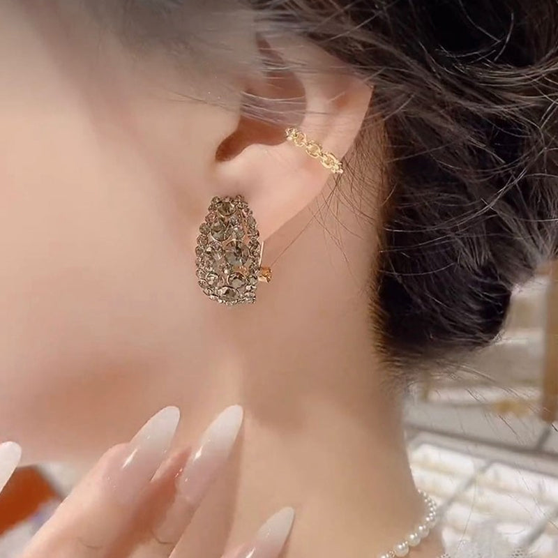 Boucles d'oreilles pleines de diamants